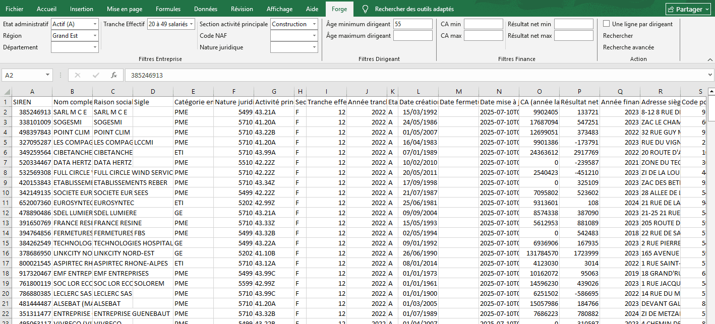 Capture d'écran de Forge Excel
